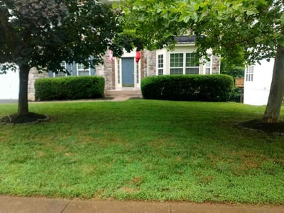Lawn Care service in Centreville, 20120