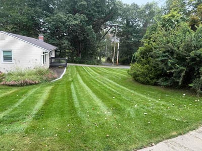 Lawn Care service in Wallingford, 06492