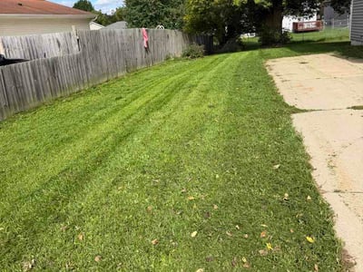 Lawn Care service in Eaton Rapids, 48827