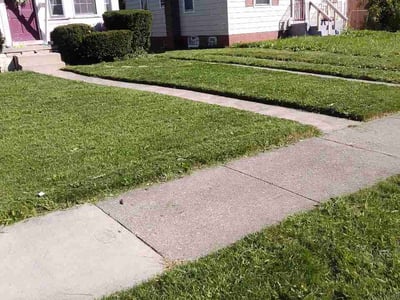 Lawn Care service in Wyandotte, 48192
