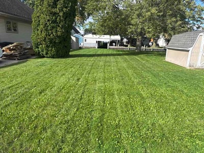 Lawn Care service in Pinckney, 48169