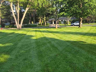 Lawn Care service in Cottage Grove, 55016