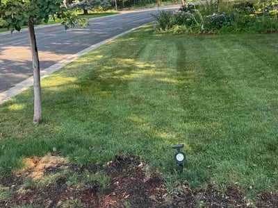 Lawn Care service in Columbia Heights, 55421