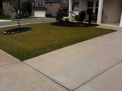 Lawn Care service in Gardendale, 35071