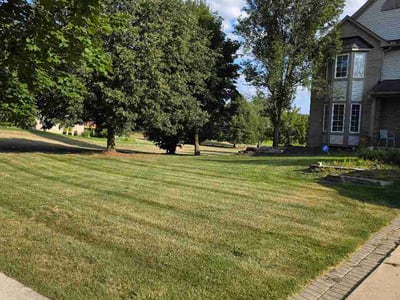 Lawn Care service in South Lyon, 48178