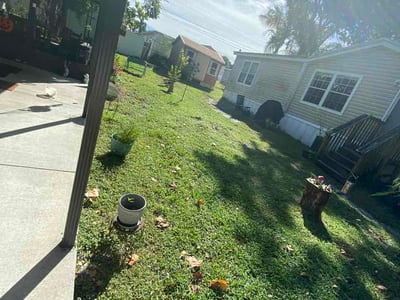 Lawn Care service in Dunedin, 34698
