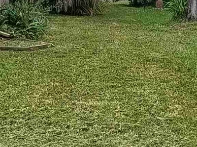 Lawn Care service in Hudson, 34667