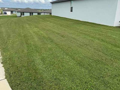 Lawn Care service in Brooksville, 34601