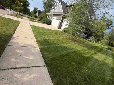 Lawn Care service in Okemos, 48864
