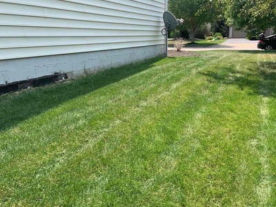 Lawn Care service in Powell, 43065
