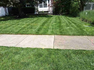 Lawn Care service in Powell, 43065