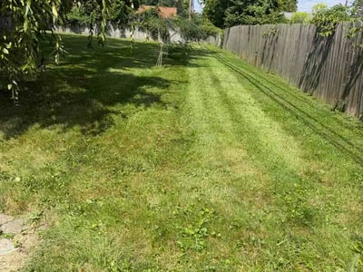Lawn Care service in Mount Gilead, 43338