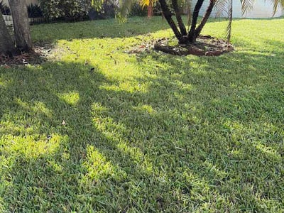 Lawn Care service in Deerfield Beach, 33441