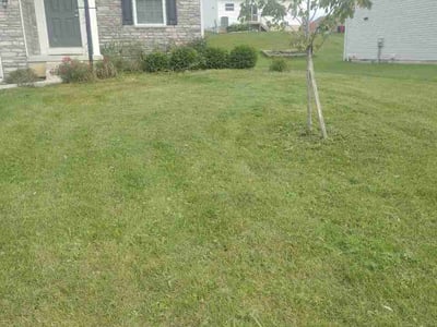 Lawn Care service in Pataskala, 43062