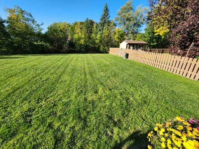 Lawn Care service in Sparta, 49345