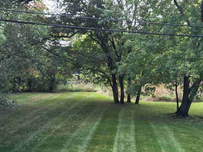 Lawn Care service in Golden Valley, 55422