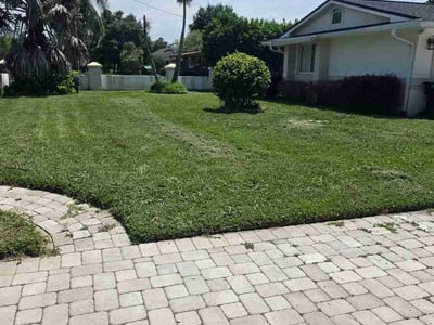 Lawn Care service in Tavares, 32778