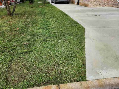 Lawn Care service in Mims, 32754