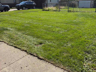 Lawn Care service in Grand Rapids, 49503