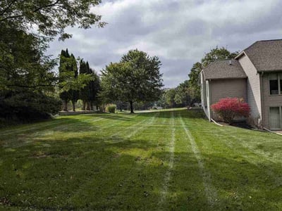 Lawn Care service in Charlotte, 48813