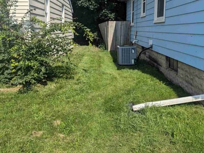 Lawn Care service in Charlotte, 48813