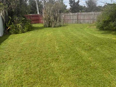 Lawn Care service in Longwood, 32750
