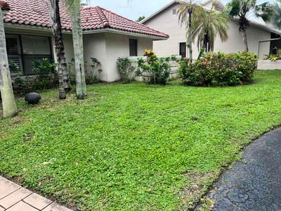 Lawn Care service in Coral Springs, 33065