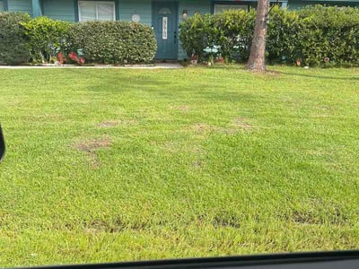 Lawn Care service in Flagler Beach, 32136