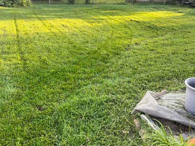 Lawn Care service in Sterling Heights, 48312