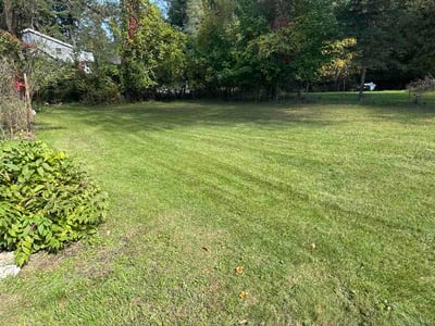 Lawn Care service in Greenville, 48838