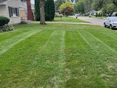 Lawn Care service in Dewitt, 48820