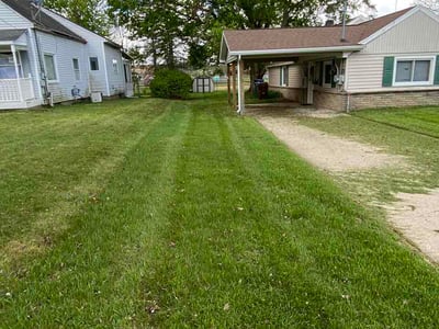 Lawn Care service in Dewitt, 48820
