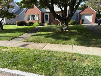 Lawn Care service in Deep River, 06417