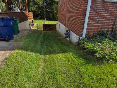 Lawn Care service in North Andover, 01845