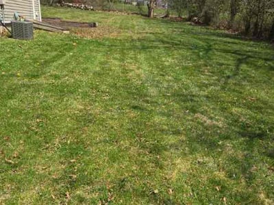 Lawn Care service in Stratford, 06615