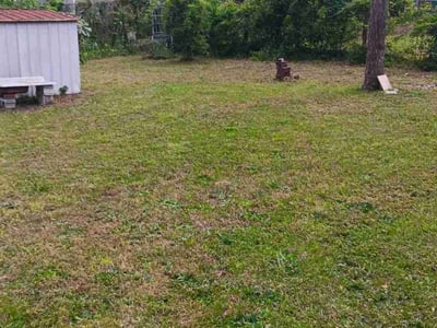 Lawn Care service in North Andover, 01845