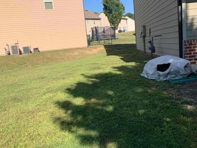 Lawn Care service in Bristol, 06010