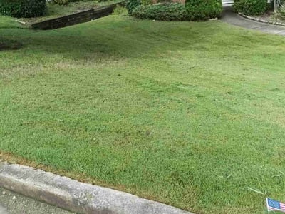 Lawn Care service in North Haven, 06473