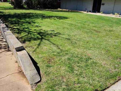 Lawn Care service in Marshfield, 02050