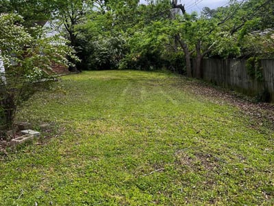 Lawn Care service in Branford, 06405