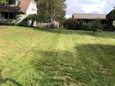 Lawn Care service in West Springfield, 01089