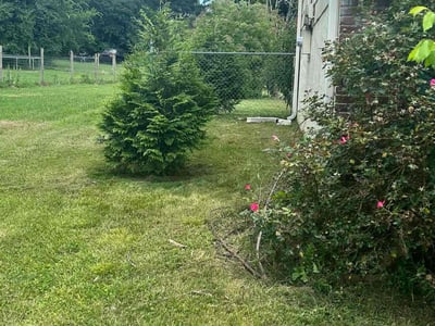 Lawn Care service in Cambridge, 02138