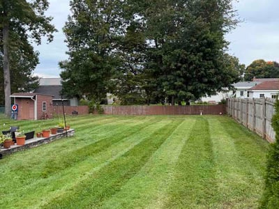Lawn Care service in Newington, 06111