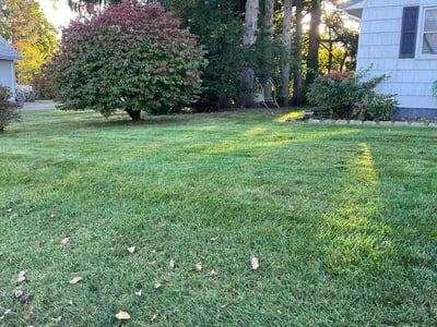 Lawn Care service in Newington, 06111