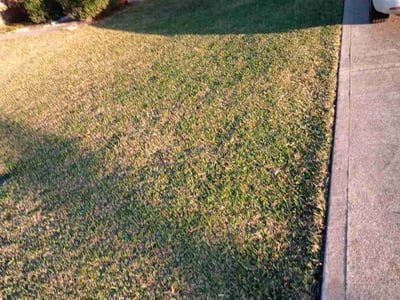 Lawn Care service in Santa Cruz, 95060