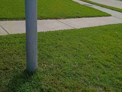 Lawn Care service in Goleta, 93117