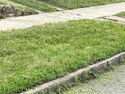 Lawn Care service in Goleta, 93117