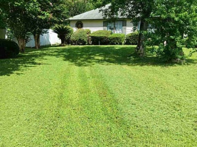Lawn Care service in Salinas, 93901