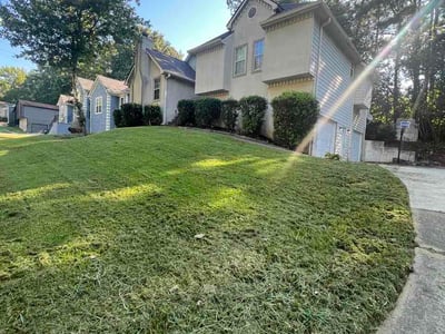 Lawn Care service in Monterey, 93940