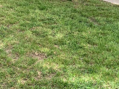 Lawn Care service in Monterey, 93940